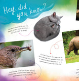 Hello, Baby! I'm Your Mom Picture Book